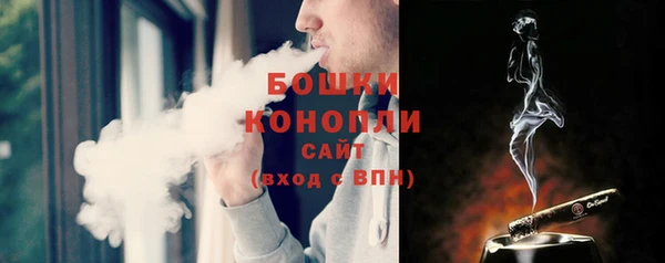 ГАЛЛЮЦИНОГЕННЫЕ ГРИБЫ Аркадак