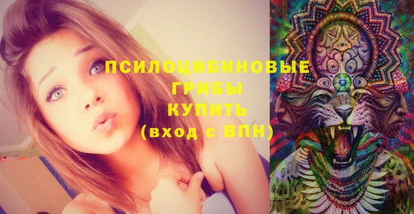 ешки Арсеньев