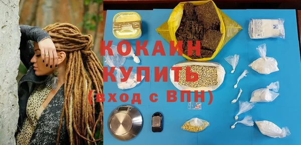 ешки Арсеньев