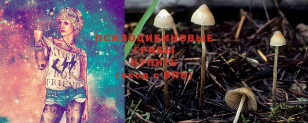 мяу мяу мука Армянск
