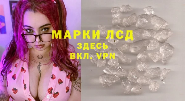 ГАЛЛЮЦИНОГЕННЫЕ ГРИБЫ Аркадак