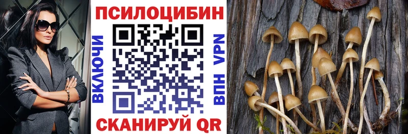 Купить  Прохладный  Псилоцибиновые грибы GOLDEN TEACHER 